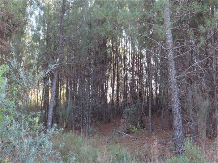 Image No.7-Property for sale