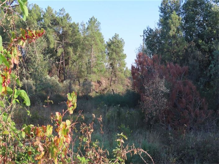 Image No.8-Property for sale