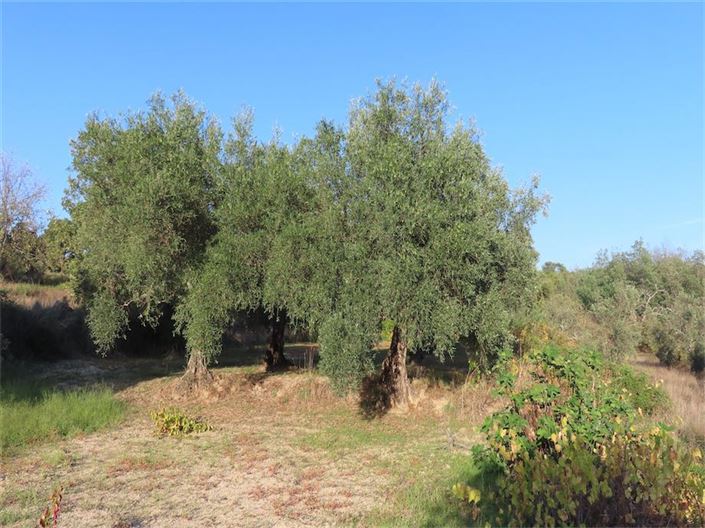 Image No.9-Property for sale