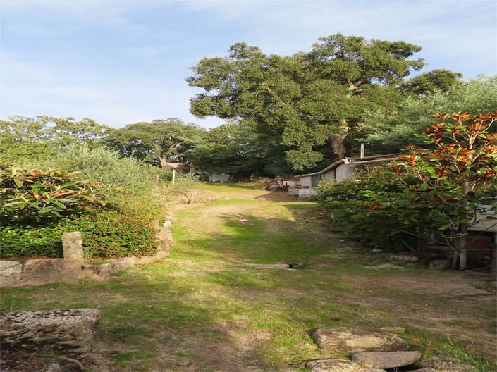 Image No.1-Property for sale