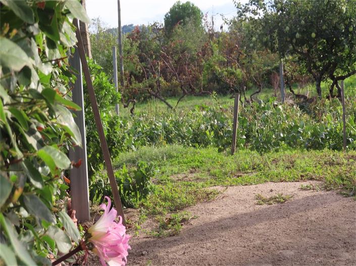 Image No.10-Property for sale