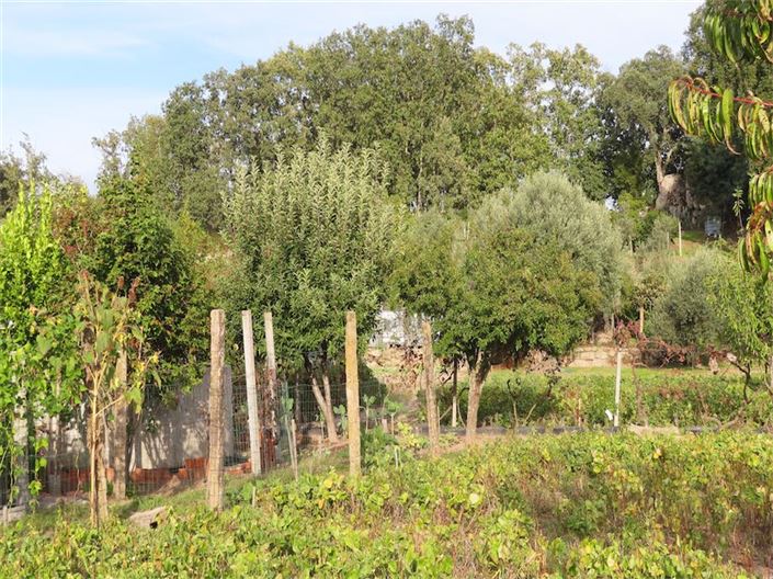 Image No.13-Property for sale