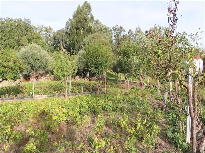 Image No.14-Property for sale