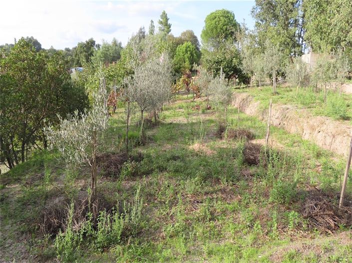 Image No.42-Property for sale