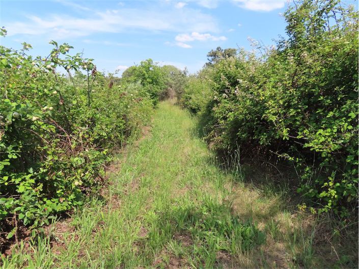 Image No.12-Property for sale