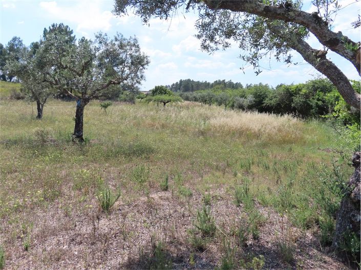 Image No.4-Property for sale