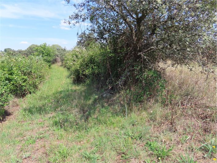 Image No.9-Property for sale