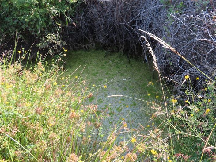 Image No.14-Property for sale