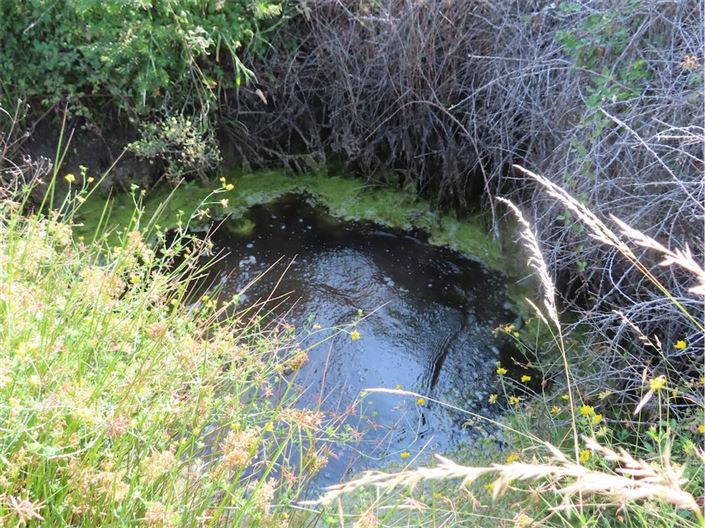 Image No.15-Property for sale