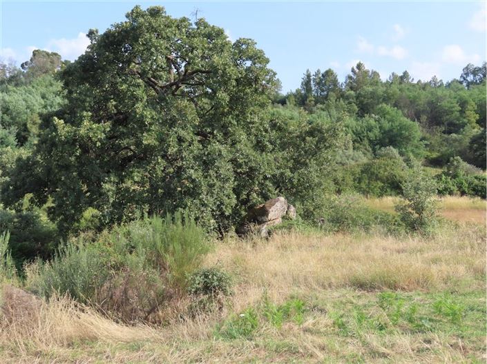 Image No.20-Property for sale