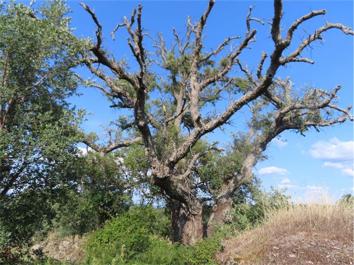 Image No.3-Property for sale