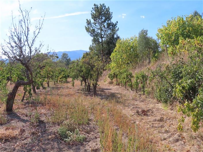 Image No.12-Property for sale