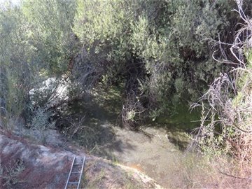 img3619