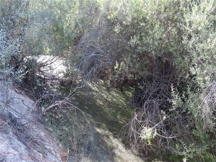 Image No.15-Property for sale