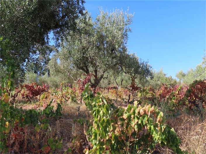 Image No.18-Property for sale