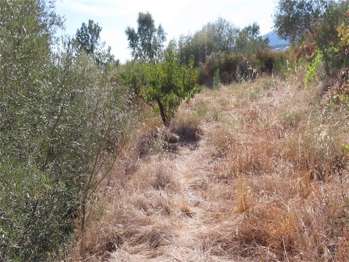 Image No.19-Property for sale