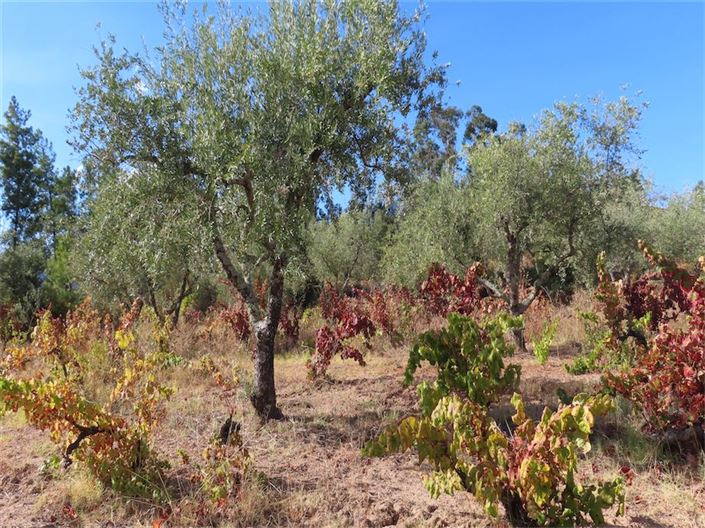 Image No.20-Property for sale