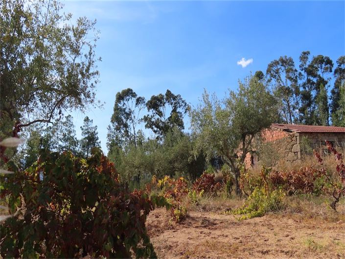 Image No.22-Property for sale