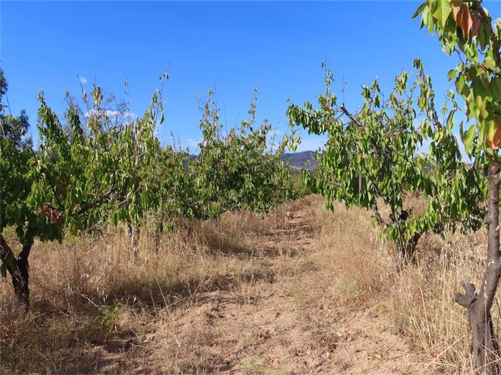 Image No.23-Property for sale