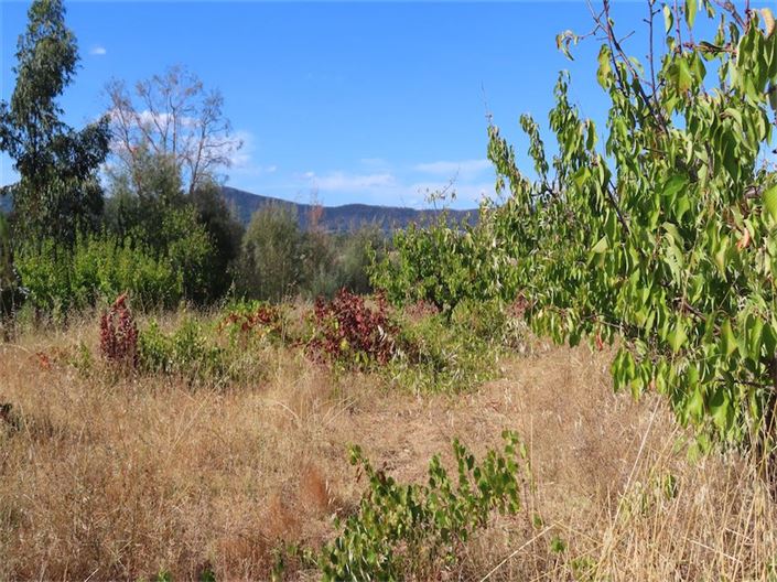 Image No.24-Property for sale