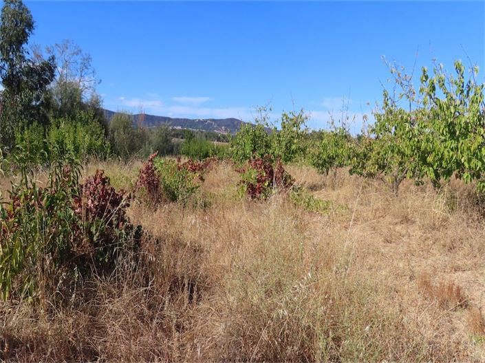 Image No.26-Property for sale