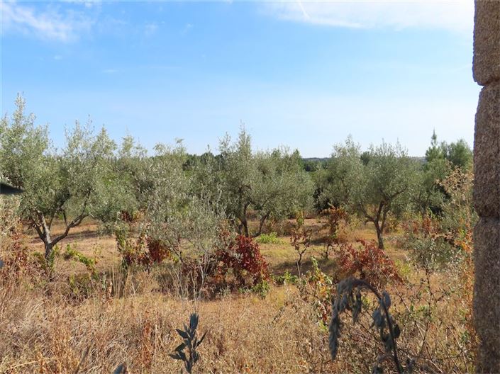 Image No.28-Property for sale