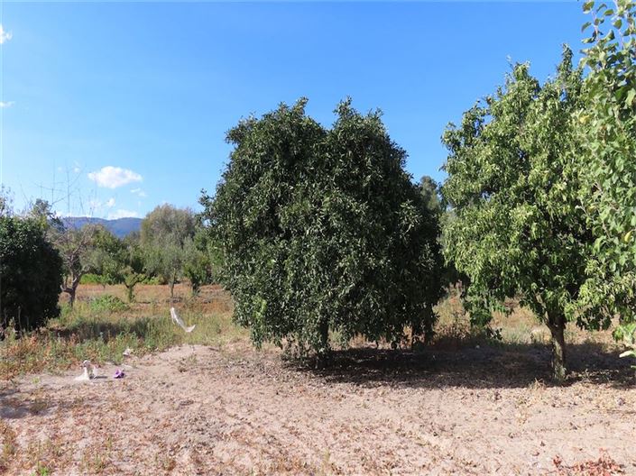 Image No.5-Property for sale