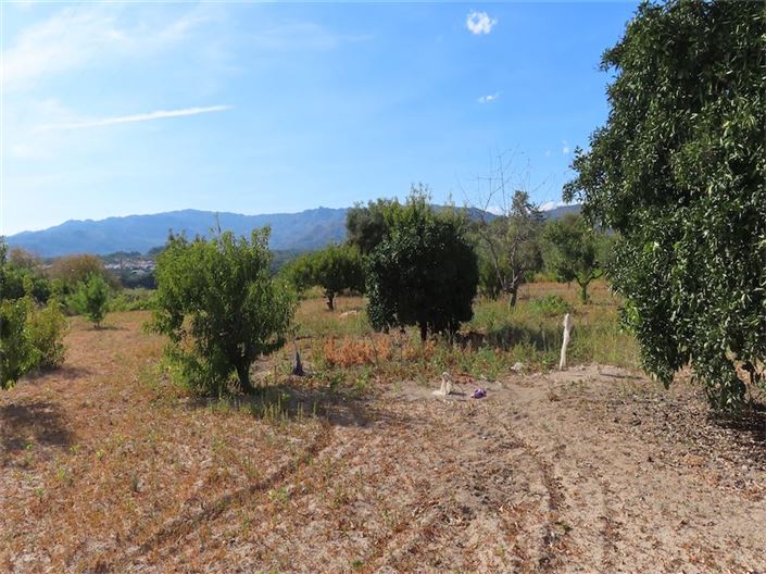 Image No.6-Property for sale