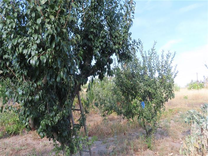 Image No.9-Property for sale