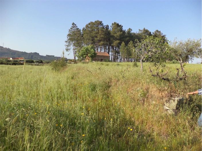 Image No.11-Property for sale