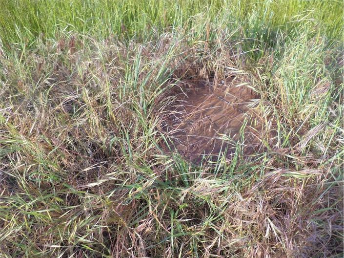 Image No.19-Property for sale