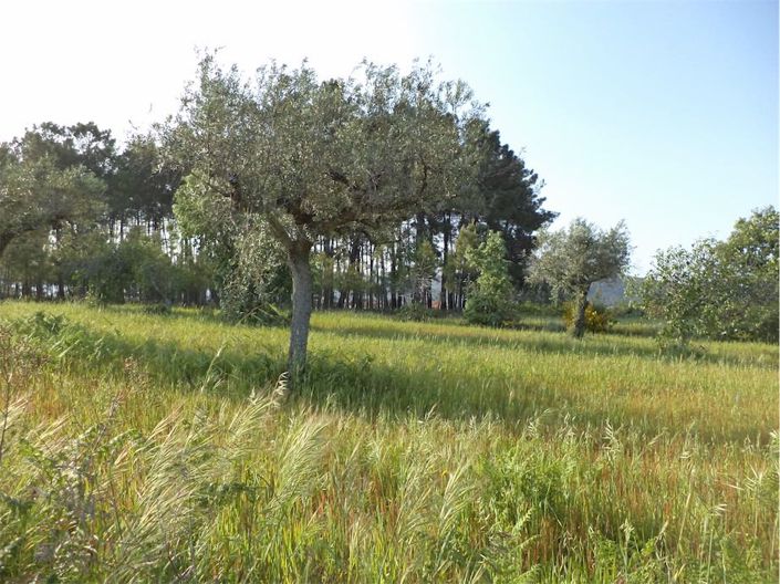 Image No.23-Property for sale