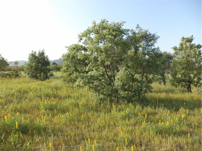 Image No.28-Property for sale