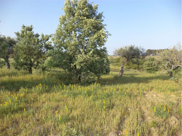 Image No.29-Property for sale