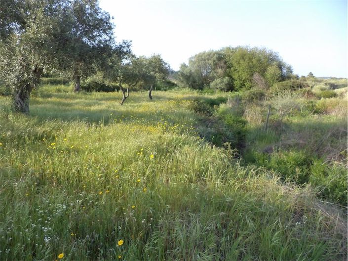 Image No.34-Property for sale