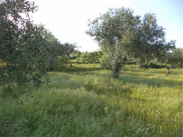 Image No.35-Property for sale