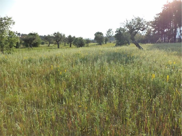 Image No.36-Property for sale