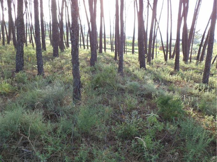 Image No.42-Property for sale