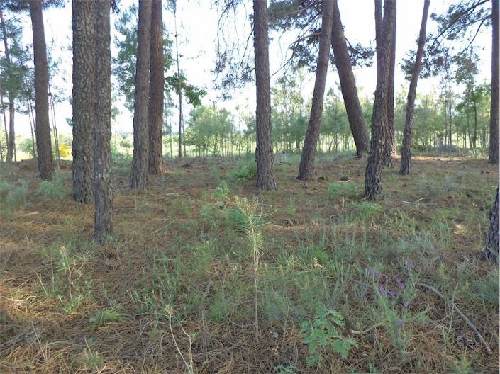 Image No.43-Property for sale