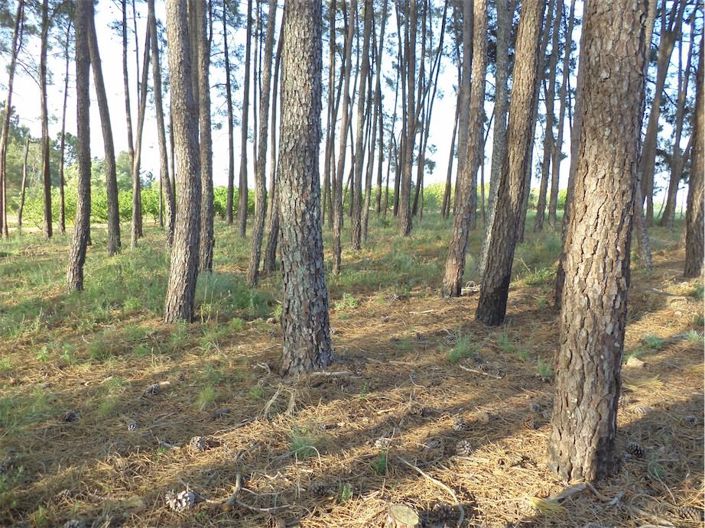 Image No.44-Property for sale