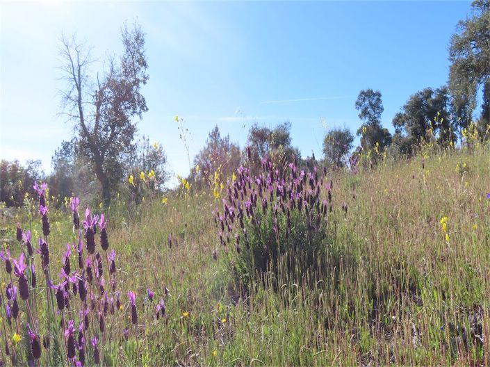 Image No.10-Property for sale