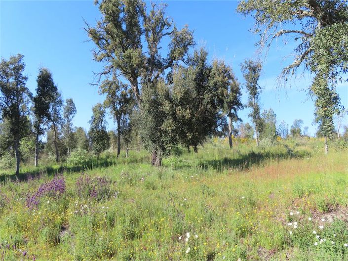 Image No.11-Property for sale