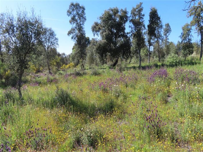 Image No.12-Property for sale