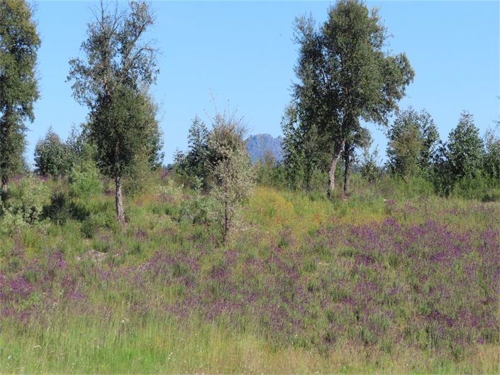 Image No.13-Property for sale