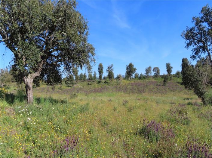 Image No.14-Property for sale