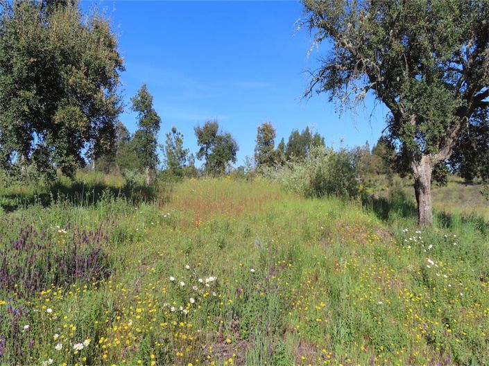 Image No.15-Property for sale