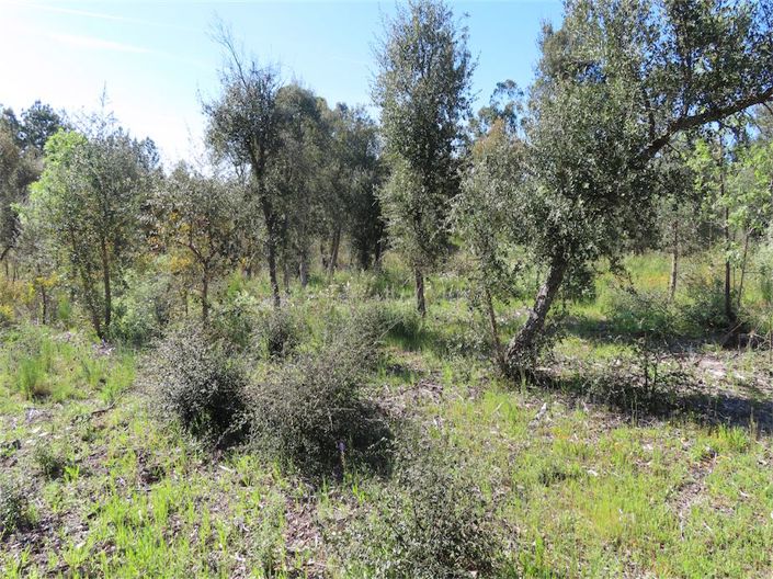 Image No.16-Property for sale