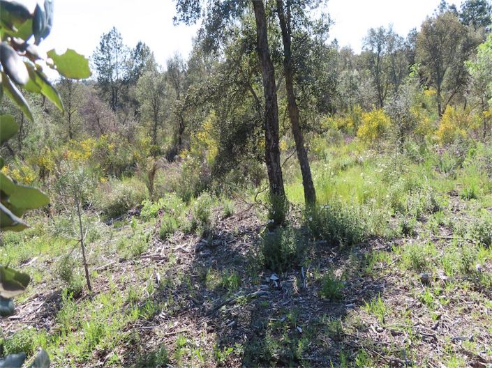 Image No.17-Property for sale