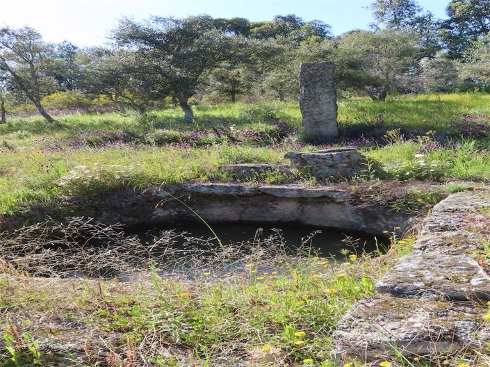 Image No.23-Property for sale