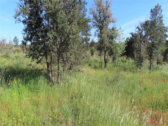 Image No.25-Property for sale